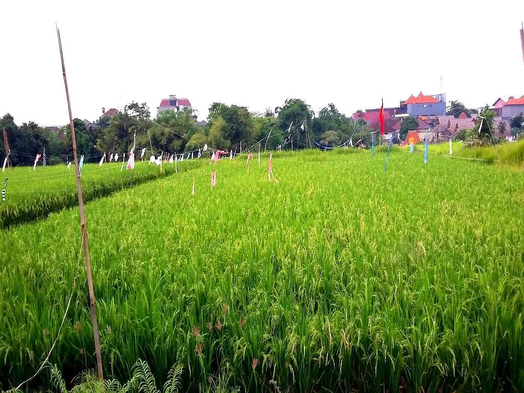 Πανσιόν Reddoorz At Kerobokan Seminyak 2